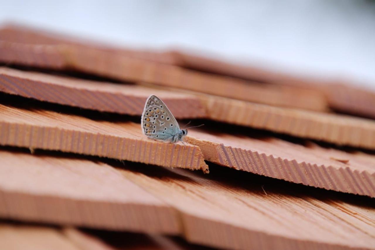 L'Insolite Jurassienne Dompierre-sur-Mont Exteriér fotografie